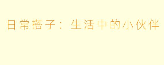 日常搭子：生活中的小伙伴