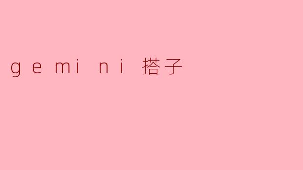 gemini搭子