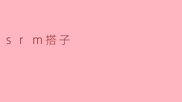 ## 深入了解SRM搭子:新型合作模式的崛起