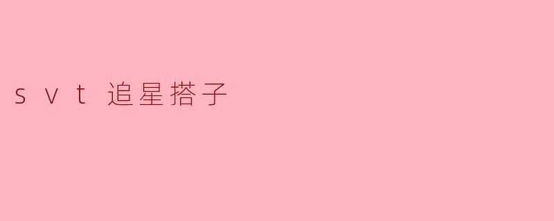 svt追星搭子