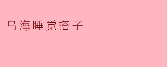 ### 乌海的“睡觉搭子”:一份温暖的陪伴