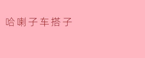 探秘“哈喇子车搭子”的独特文化