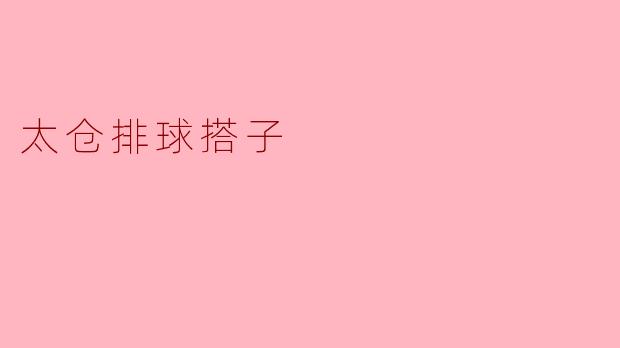 太仓排球搭子是什么样的活动,适合什么人参与?