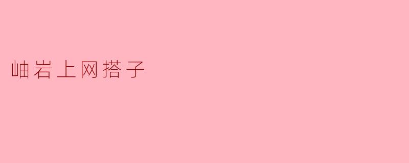 ### 岫岩上网搭子的温暖相遇