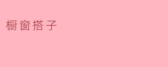 橱窗搭子：生活中的独特风景线