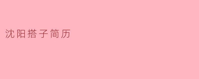 沈阳搭子简历