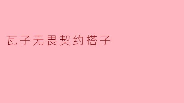 瓦子无畏契约搭子