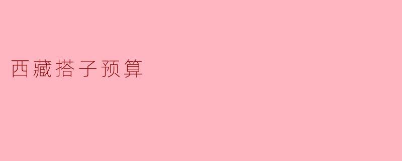 西藏搭子预算