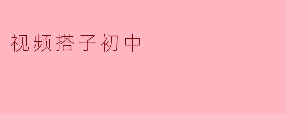 视频搭子初中