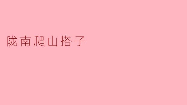 ### 陇南爬山搭子:乐在山中,情在心间