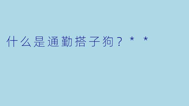 什么是通勤搭子狗？**