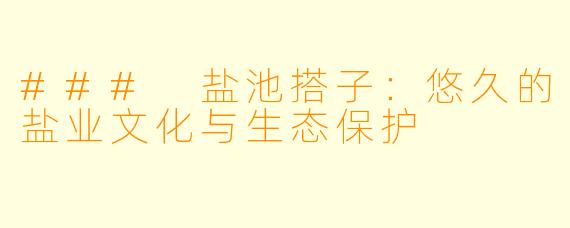 ### 盐池搭子：悠久的盐业文化与生态保护