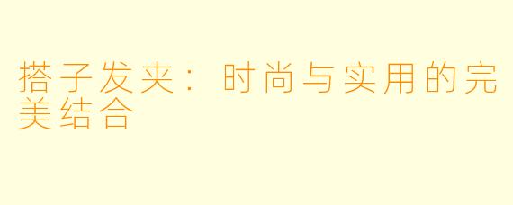 搭子发夹：时尚与实用的完美结合