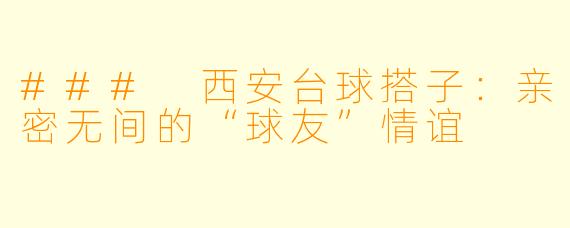 ### 西安台球搭子：亲密无间的“球友”情谊