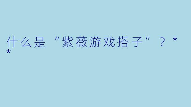 什么是“紫薇游戏搭子”？**