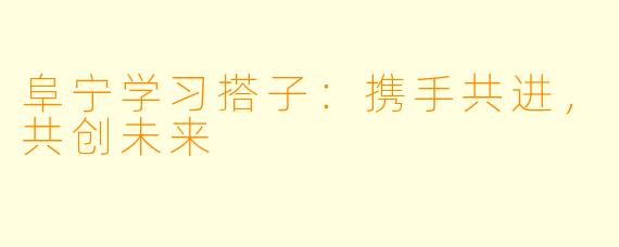 阜宁学习搭子：携手共进，共创未来