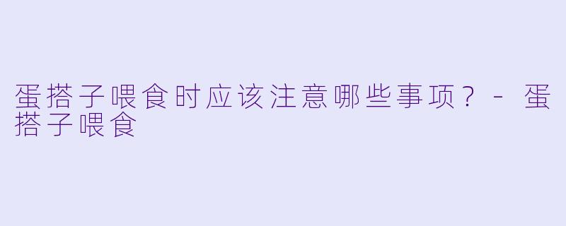 蛋搭子喂食时应该注意哪些事项？