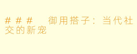 ### 御用搭子:当代社交的新宠