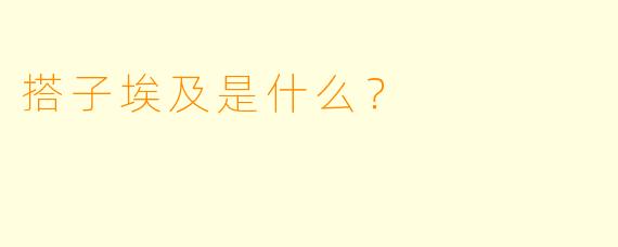 搭子埃及是什么？  
