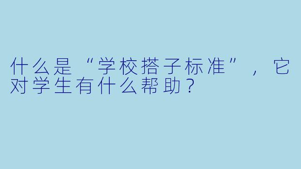 什么是“学校搭子标准”,它对学生有什么帮助?