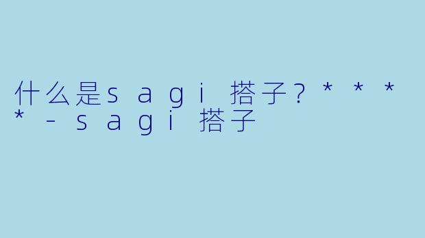 什么是sagi搭子？****