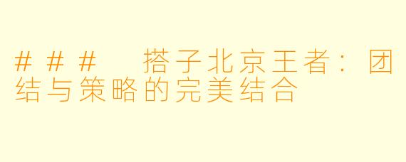 ### 搭子北京王者：团结与策略的完美结合