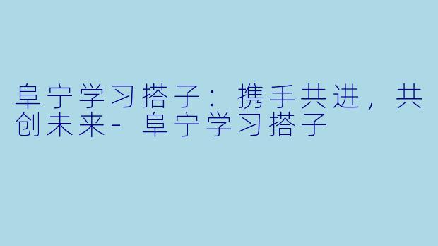 阜宁学习搭子：携手共进，共创未来-阜宁学习搭子