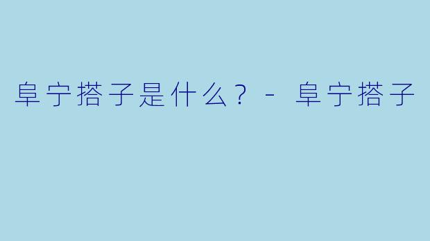 阜宁搭子是什么？