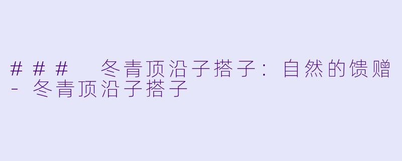 ### 冬青顶沿子搭子:自然的馈赠