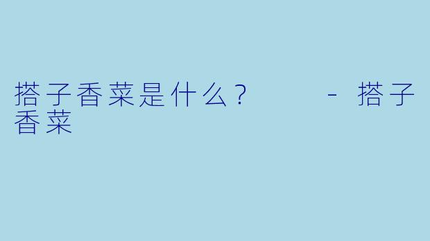 搭子香菜是什么？  