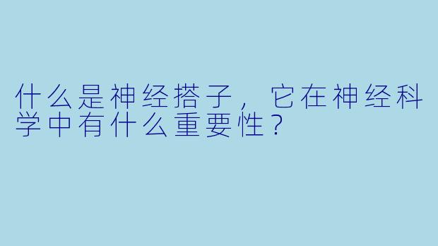 什么是神经搭子，它在神经科学中有什么重要性？