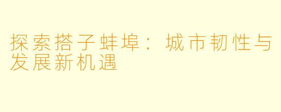 探索搭子蚌埠：城市韧性与发展新机遇