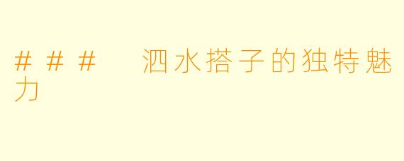### 泗水搭子的独特魅力