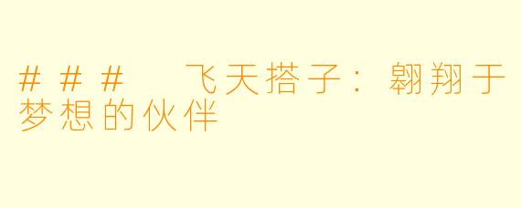 ### 飞天搭子：翱翔于梦想的伙伴