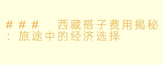 ### 西藏搭子费用揭秘:旅途中的经济选择