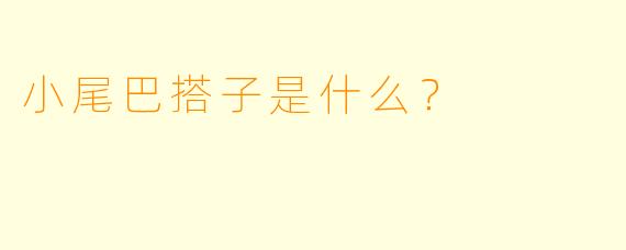 小尾巴搭子是什么？
