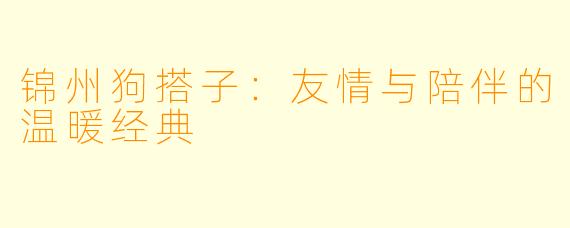 锦州狗搭子：友情与陪伴的温暖经典