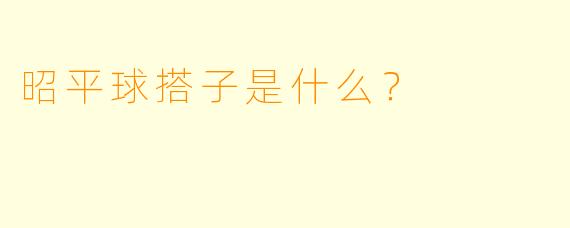 昭平球搭子是什么？  