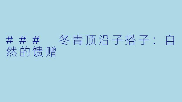 ### 冬青顶沿子搭子：自然的馈赠