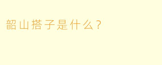 韶山搭子是什么？  