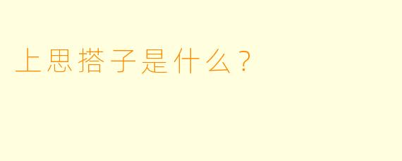 上思搭子是什么？  