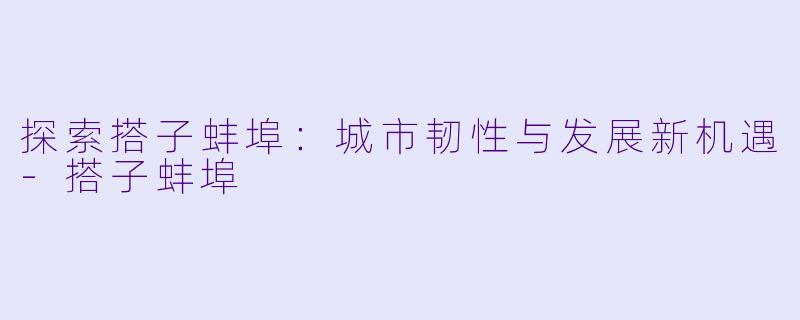 探索搭子蚌埠：城市韧性与发展新机遇