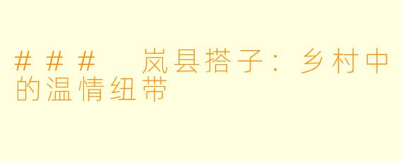 ### 岚县搭子：乡村中的温情纽带