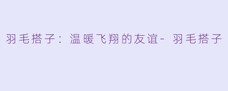 羽毛搭子：温暖飞翔的友谊-羽毛搭子