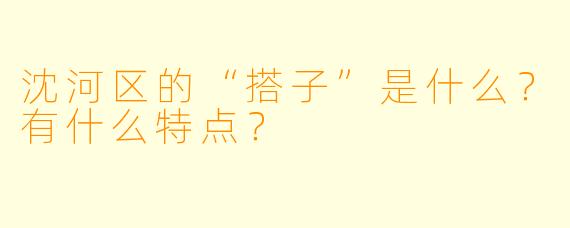 沈河区的“搭子”是什么？有什么特点？