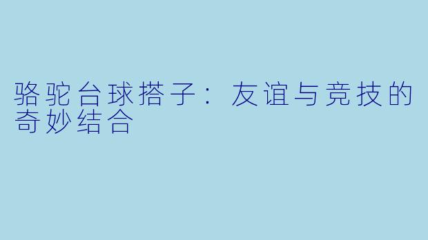 骆驼台球搭子:友谊与竞技的奇妙结合