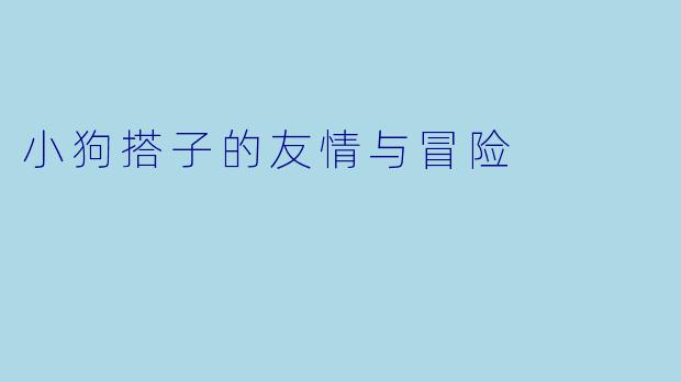 小狗搭子的友情与冒险