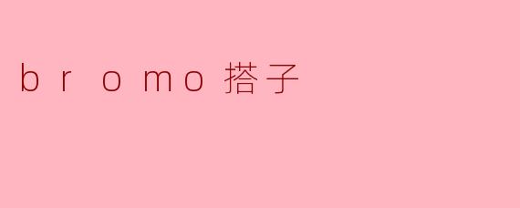 bromo搭子