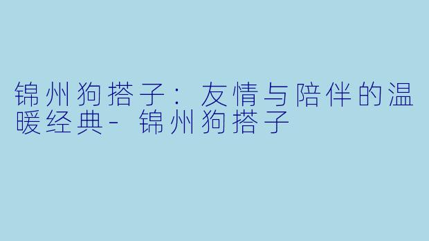 锦州狗搭子：友情与陪伴的温暖经典-锦州狗搭子