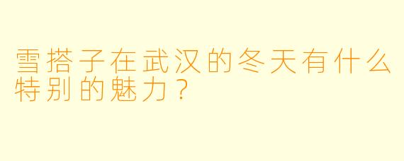 雪搭子在武汉的冬天有什么特别的魅力?